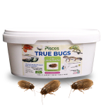 PISCES TRUE BUGS LIVE LOBSTER ROACHES (25 pieces box)