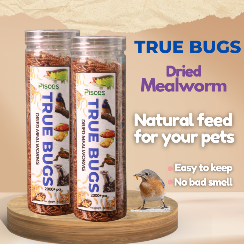 True Bugs Dried Mealworms 550 ml (Saver Pack) 2400+ pcs
