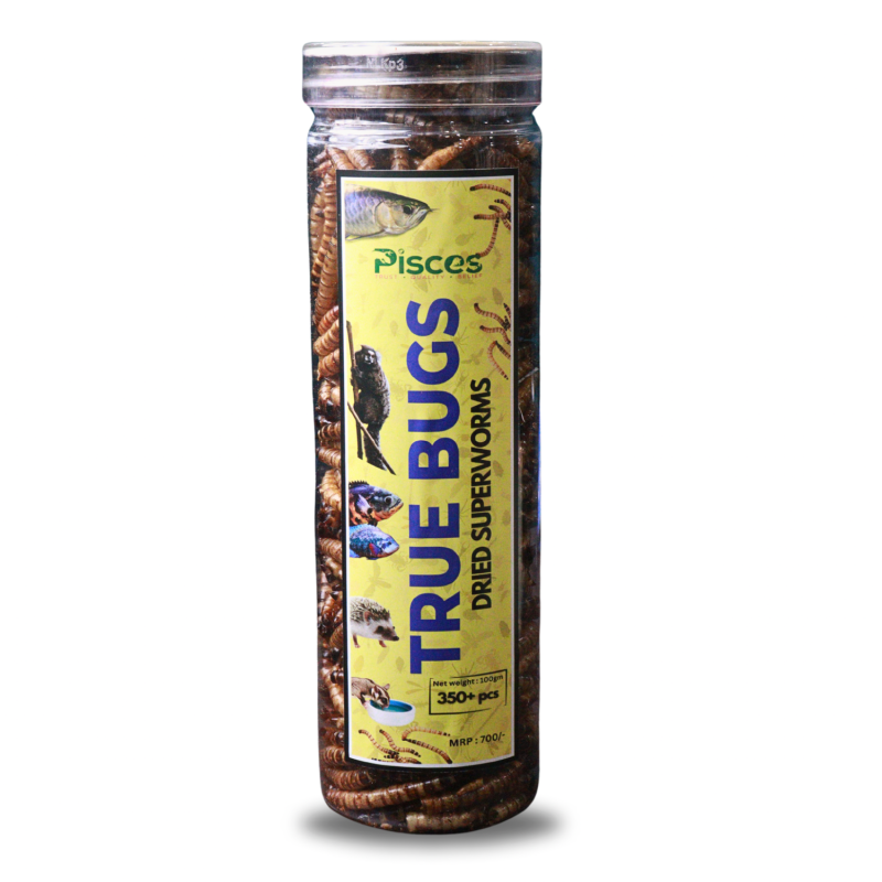 Pisces True Bugs Dried Superworms 550ml (SAVER PACK) 100gms