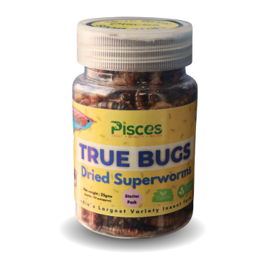 PISCES TRUE BUGS Dried SUPERWORMS for Fishes (100ml Pack) - Arowana Food, Flowerhorn Food, Cichlid Food, Bird Food, Reptile Food, Marmoset