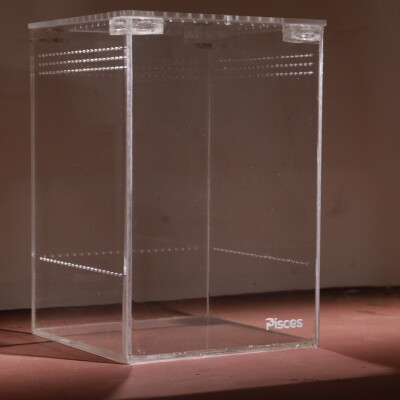 Tarantula Enclosure (10x10x15cm) - ( sling enclosure)