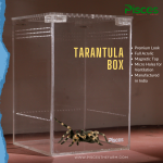 Tarantula Enclosure (10x10x15cm) - ( sling enclosure)