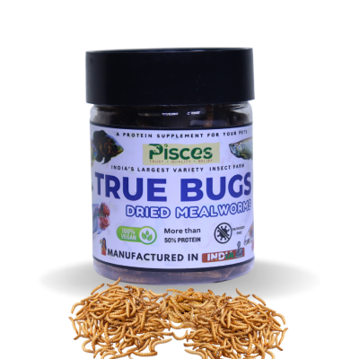 PISCES TRUE BUGS DRIED MEALWORMS 100 ML PACK (For Fishes---AROWANA, OSCAR, CICHLID, FLOWERHORN ETC.)