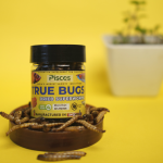 PISCES TRUE BUGS Dried SUPERWORMS for Fishes (100ml Pack) - Arowana Food, Flowerhorn Food, Cichlid Food, Bird Food, Reptile Food, Marmoset