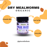 PISCES TRUE BUGS DRIED MEALWORMS 100 ML PACK (For Fishes---AROWANA, OSCAR, CICHLID, FLOWERHORN ETC.)