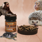 TRUE BUGS DRIED SUPERWORMS FOR PETS (TURTLES, MARMOSET, HEDGEHOG ETC) 100ml Pack
