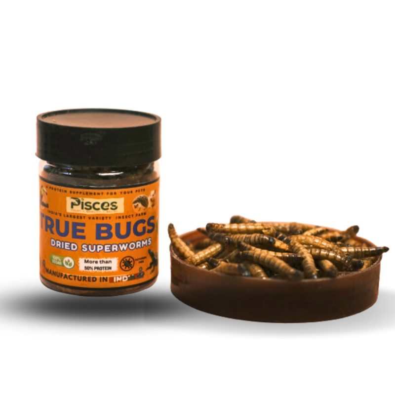 TRUE BUGS DRIED SUPERWORMS FOR PETS (TURTLES, MARMOSET, HEDGEHOG ETC) 100ml Pack