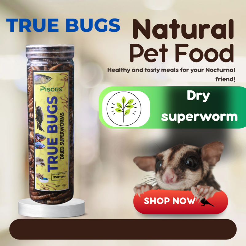 Pisces True Bugs Dried Superworms 550ml (SAVER PACK) 100gms