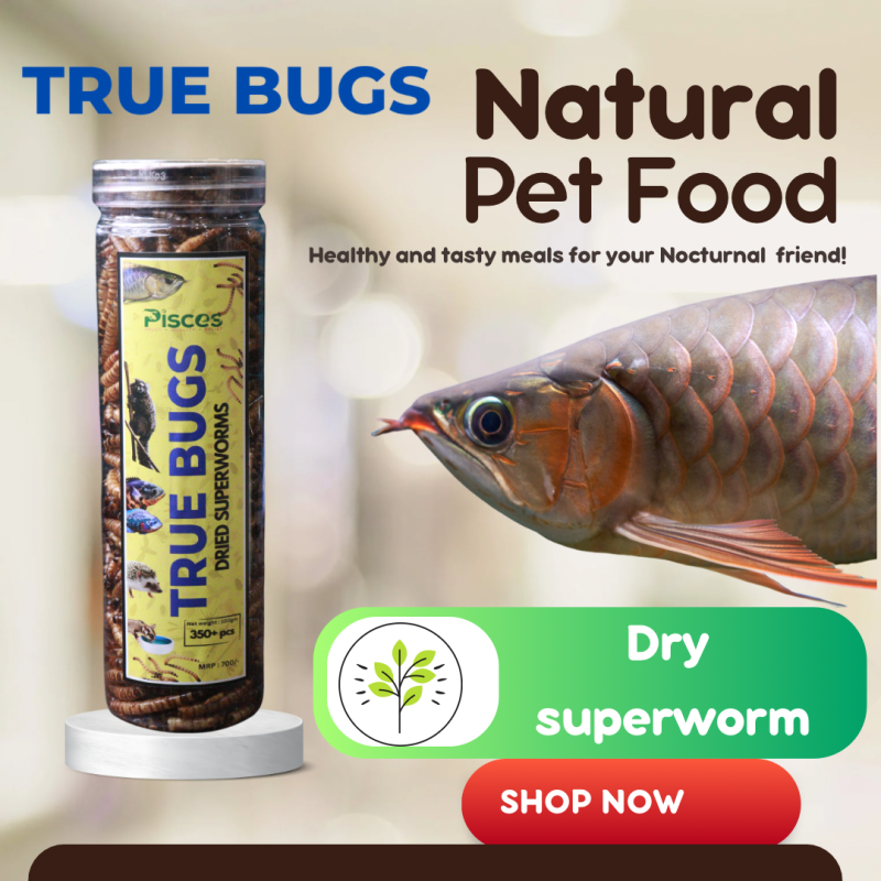 Pisces True Bugs Dried Superworms 550ml (SAVER PACK) 100gms