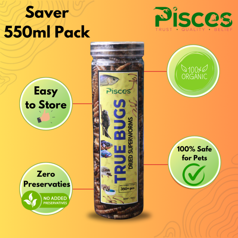Pisces True Bugs Dried Superworms 550ml (SAVER PACK) 100gms